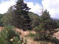 rrente Quarantore-20110911 115